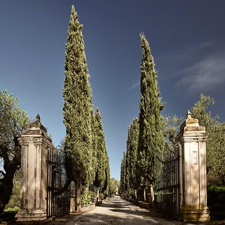 Almeira 4Acre Estate, For Unparalleled Seclusion, By Thinkvilla Закинтос Экстерьер фото